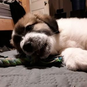 Meet your Posher, Clayton